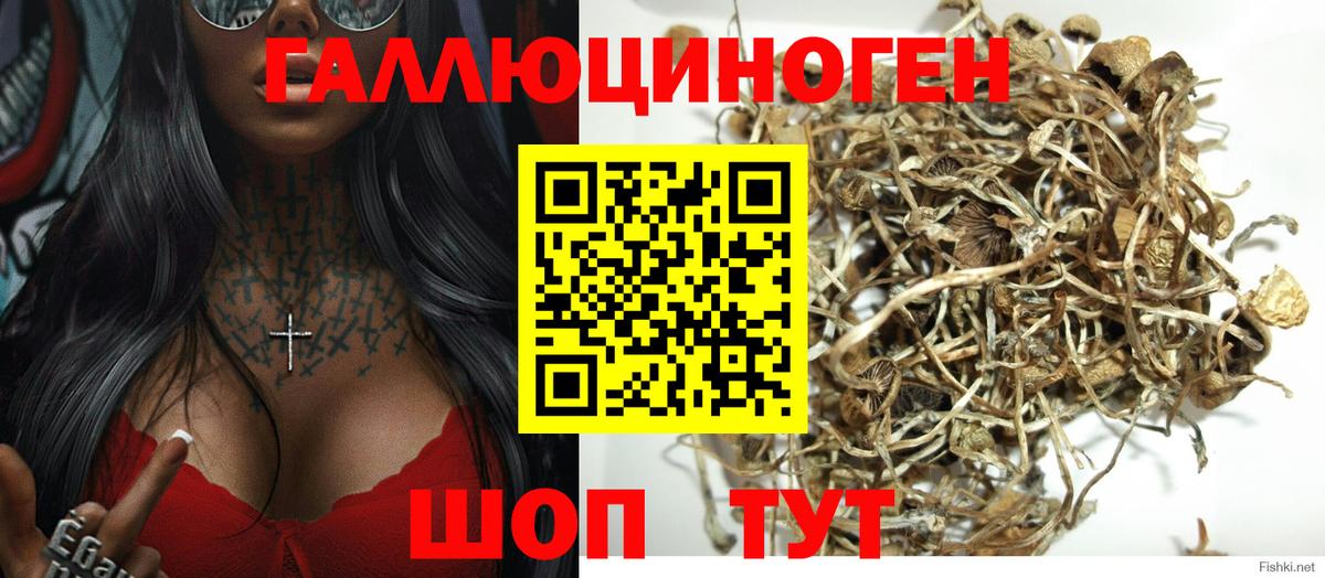 Галлюциногенные грибы MAGIC MUSHROOMS  Вход с VPN  Галлюциногенные грибы Psilocybine cubensis  Йошкар-Ола 