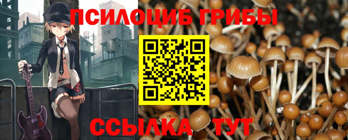 Псилоцибиновые грибы Psilocybine cubensis Йошкар-Ола